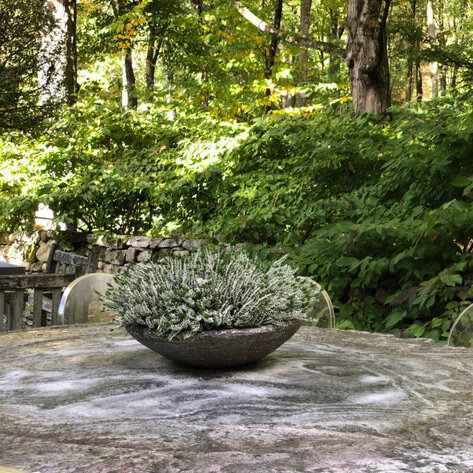 Zen Bowl — Pennoyer Newman